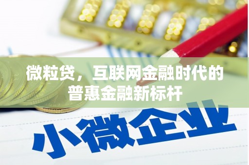 泽普微粒贷，互联网金融时代的普惠金融新标杆