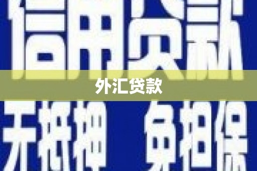 泽普外汇贷款