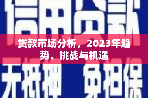 泽普贷款市场分析，2023年趋势、挑战与机遇