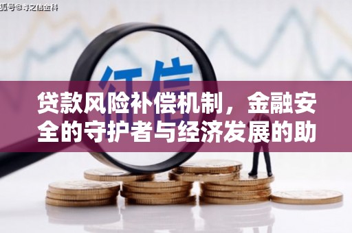 泽普贷款风险补偿机制，金融安全的守护者与经济发展的助推器