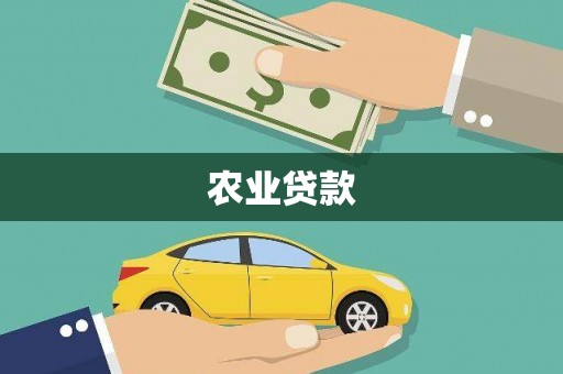 泽普农业贷款