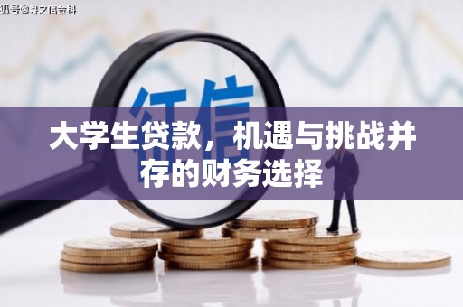 泽普大学生贷款，机遇与挑战并存的财务选择
