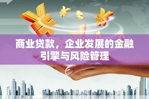 泽普商业贷款，企业发展的金融引擎与风险管理