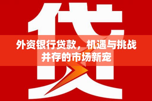 泽普外资银行贷款，机遇与挑战并存的市场新宠