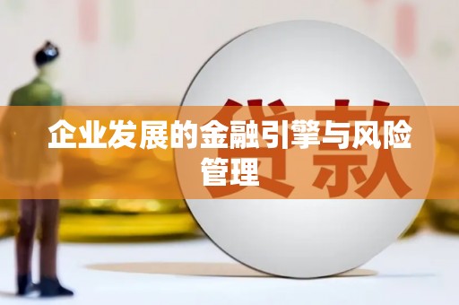 泽普企业发展的金融引擎与风险管理