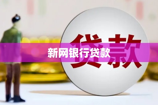 泽普新网银行贷款