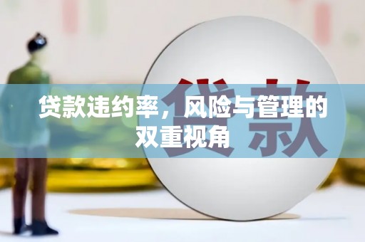 泽普贷款违约率，风险与管理的双重视角