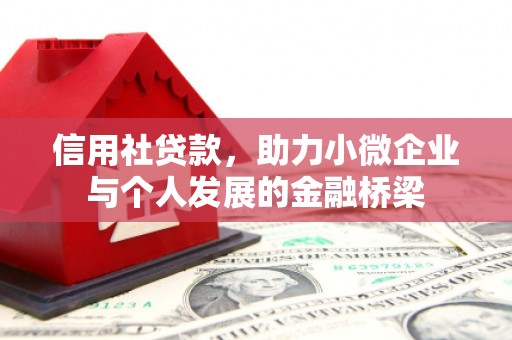 泽普信用社贷款，助力小微企业与个人发展的金融桥梁