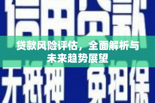 泽普贷款风险评估，全面解析与未来趋势展望