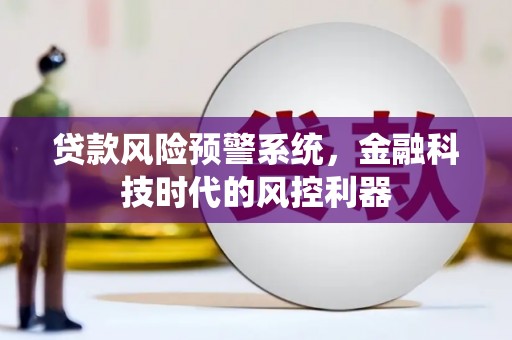 泽普贷款风险预警系统，金融科技时代的风控利器