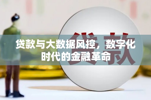 泽普贷款与大数据风控，数字化时代的金融革命