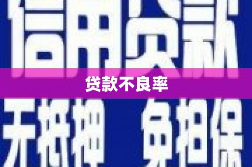 泽普贷款不良率