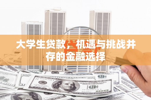 泽普大学生贷款，机遇与挑战并存的金融选择