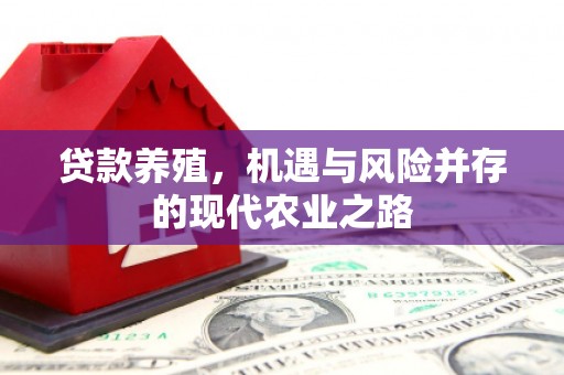 泽普贷款养殖，机遇与风险并存的现代农业之路