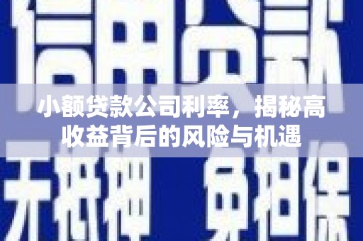 泽普小额贷款公司利率，揭秘高收益背后的风险与机遇