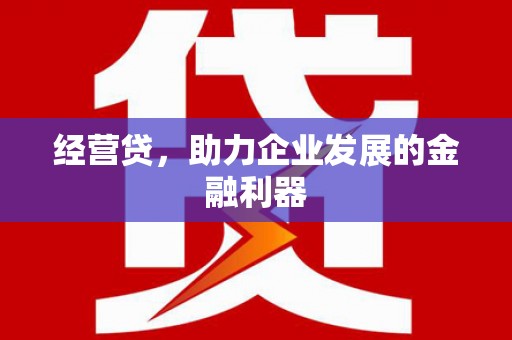 泽普经营贷，助力企业发展的金融利器