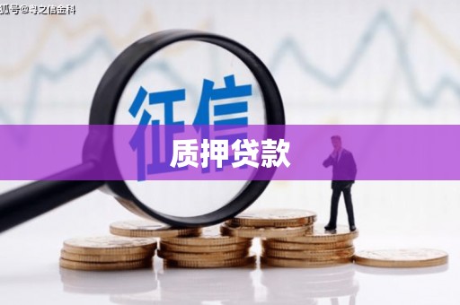 泽普质押贷款