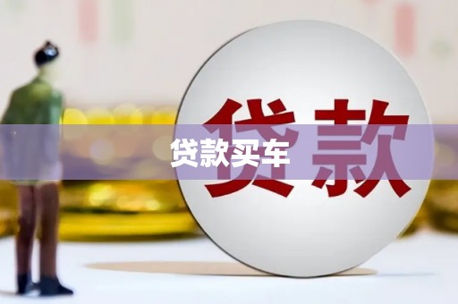 泽普贷款买车