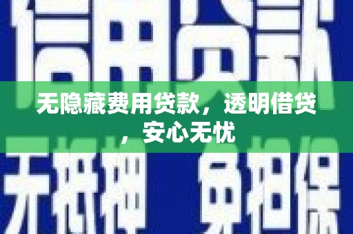 泽普无隐藏费用贷款，透明借贷，安心无忧
