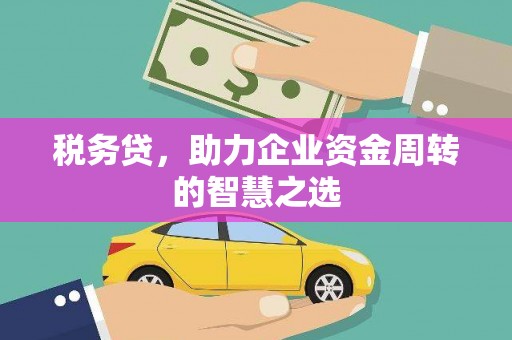 泽普税务贷，助力企业资金周转的智慧之选