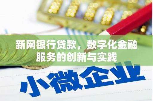 泽普新网银行贷款，数字化金融服务的创新与实践