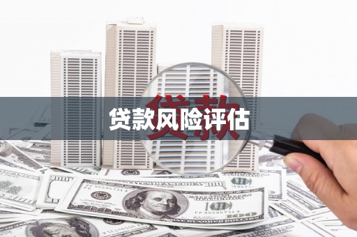 泽普贷款风险评估