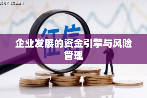 泽普企业发展的资金引擎与风险管理