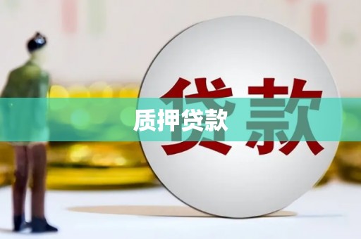 泽普质押贷款