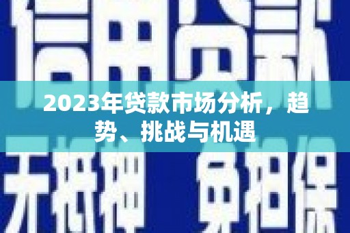 泽普2023年贷款市场分析，趋势、挑战与机遇