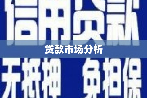 泽普贷款市场分析