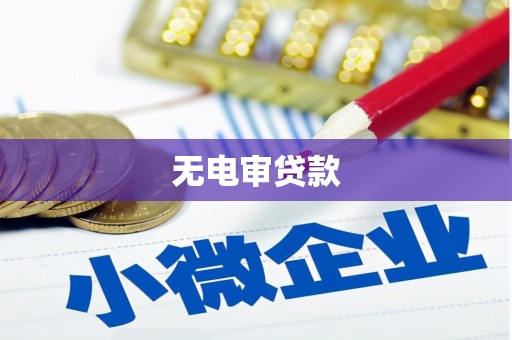 泽普无电审贷款