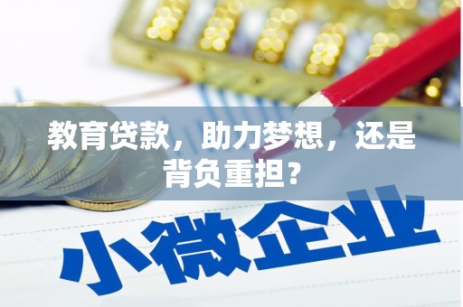 泽普教育贷款，助力梦想，还是背负重担？