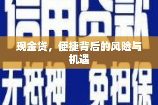 泽普现金贷，便捷背后的风险与机遇