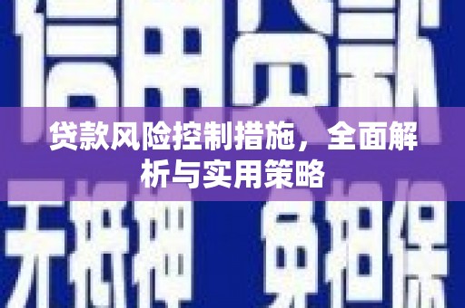 泽普贷款风险控制措施，全面解析与实用策略