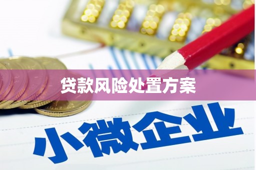 泽普贷款风险处置方案