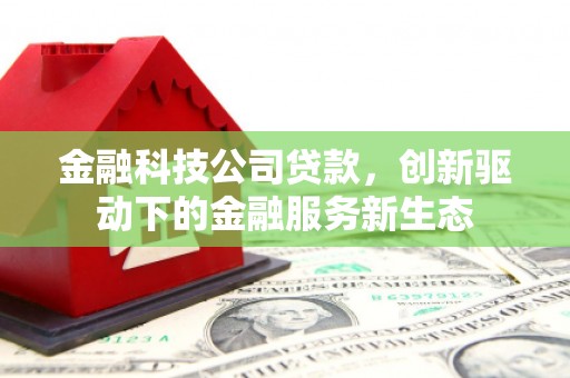 泽普金融科技公司贷款，创新驱动下的金融服务新生态