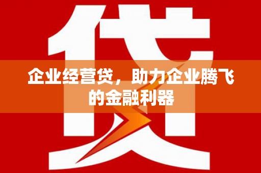 泽普企业经营贷，助力企业腾飞的金融利器