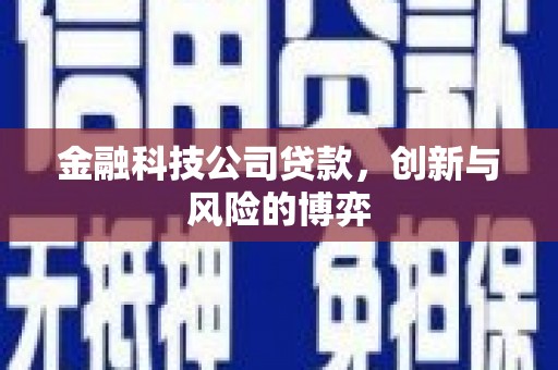 泽普金融科技公司贷款，创新与风险的博弈