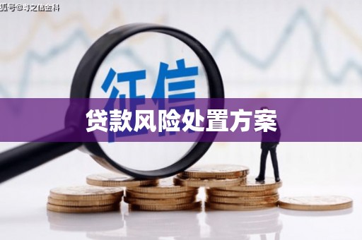 泽普贷款风险处置方案