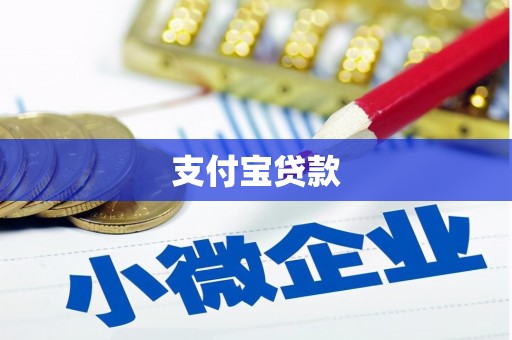 泽普支付宝贷款
