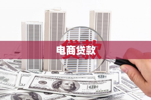 泽普电商贷款