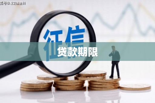 泽普贷款期限