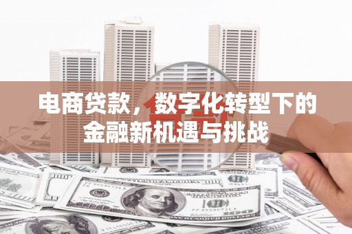 泽普电商贷款，数字化转型下的金融新机遇与挑战