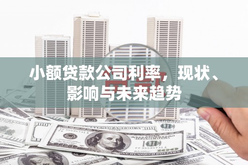 泽普小额贷款公司利率，现状、影响与未来趋势