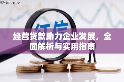泽普经营贷款助力企业发展，全面解析与实用指南