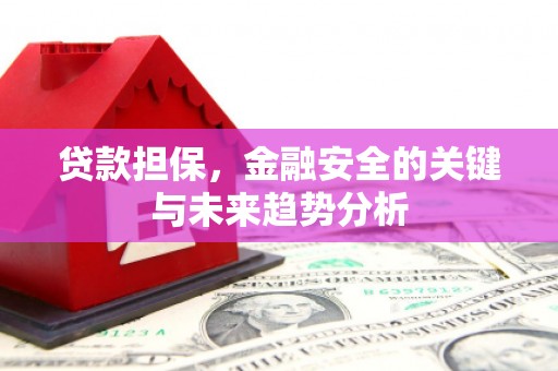 泽普贷款担保，金融安全的关键与未来趋势分析