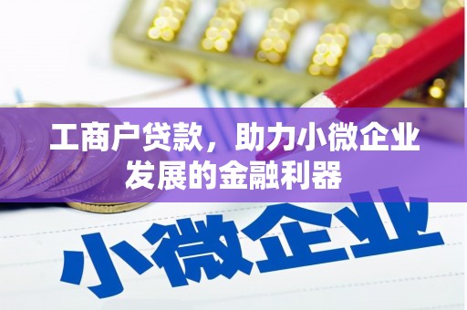 泽普工商户贷款，助力小微企业发展的金融利器