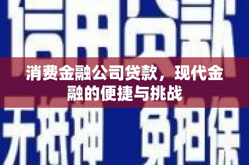 泽普消费金融公司贷款，现代金融的便捷与挑战