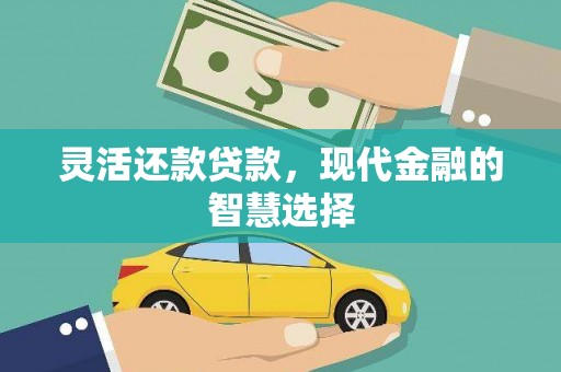 泽普灵活还款贷款，现代金融的智慧选择