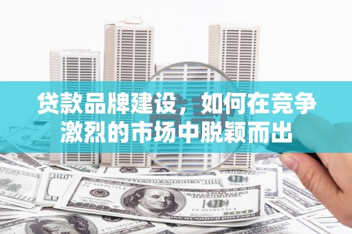 泽普贷款品牌建设，如何在竞争激烈的市场中脱颖而出